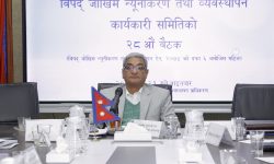 बाढीपहिरोबाट क्षतिग्रस्त भौतिक संरचना तीव्र गतिमा पुनर्निर्माण गरिने