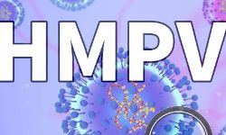 एचएमपिभी भाइरस र हाम्रो अवस्था