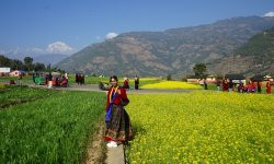 मौलिक पोसाक भाडामा लगाएर आम्दानी