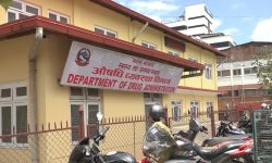 प्रतिबन्धित औषधी बेच्नेलाई कारबाही गर्ने औषधी व्यवस्था विभागको चेतावनी