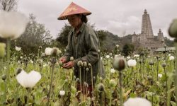 लागुऔषध, अनलाइन ठगी र खनिज : म्यानमार विश्वव्यापी अपराधको राजधानी