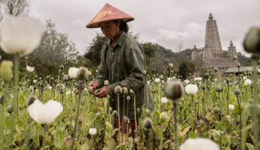 लागुऔषध, अनलाइन ठगी र खनिज : म्यानमार विश्वव्यापी अपराधको राजधानी
