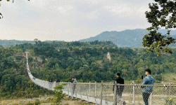 टिमाईको झोलुङ्गे पुल नयाँ पर्यटकीय गन्तव्य