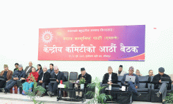 एमाले केन्द्रीय कमिटी बैठक : समयानुकूल संविधान संशोधन हुनुपर्ने माग