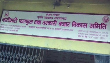 सखरखण्डर र पिँडालुको मूल्य उच्च