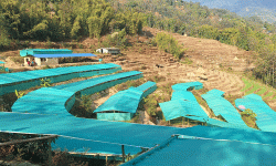 दिक्तेल रुपाकोट मझुवागढीमा ‘कृषकसँग उपप्रमुख कार्यक्रम’