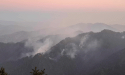 महाभारतमा आगलागी : सेना परिचालन, पर्यटकीय क्षेत्रमा जान रोक