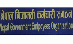 निजामती कर्मचारी सङ्गठन प्रम कार्यालय विभागीय समितिमा नयाँ नेतृत्व
