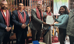 काठमाडौंमा पनि कार्यान्वयनमा आयो नागरिकताको अनलाइन सिफारिस सेवा