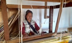 जनशक्ति अभावले आधुनिक अल्लो उद्योग बन्द