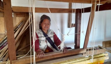 जनशक्ति अभावले आधुनिक अल्लो उद्योग बन्द