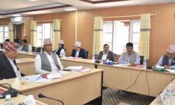 आज दुई संसदीय समितिको बैठक बस्ने