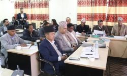 कार्यव्यवस्था परामर्श समितिको बैठक जारी