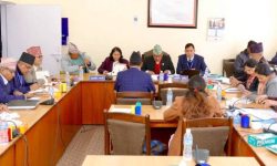 संसदीय समितिको बैठक बस्ने