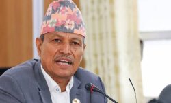 संविधान संशोधनका नाममा जनतालाई झुक्काउने प्रयास भइरहेकाे छ : भीम रावल