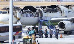 दक्षिण कोरियाली विमानमा आगलागी, विमानमा रहेका सबै १७६ जनाको सफल उद्धार