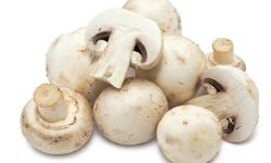 डल्ले च्याउको मूल्य बढ्दा, सिताके च्याउको मूल्य आधाभन्दा बढीले घट्यो