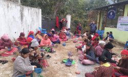 तनहुँका ५० जना महिलालाई ढकिया बुन्ने तालिम