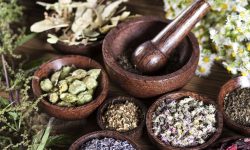 बहुमूल्य जडीबुटीको चोरीनिकासी बढ्दो