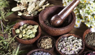 बहुमूल्य जडीबुटीको चोरीनिकासी बढ्दो