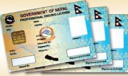 परासीबाट चार चारपाङ्ग्रे सवारी चालक अनुमतिपत्र वितरण