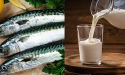 मधेश प्रदेशमा माछा र दूधको उत्पादन बढ्यो