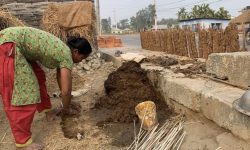 अझै गुइँठा बाल्न बाध्य छन् तराईका महिला