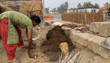 अझै गुइँठा बाल्न बाध्य छन् तराईका महिला