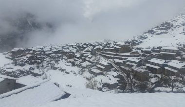 बाजुराको उच्च भेगमा वर्षात्सँगै हिमपात हुँदा किसान खुसी