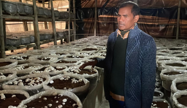 सामाजिक सञ्जालको सदुपयोग गर्दा …