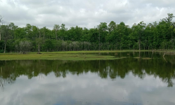 पर्यटकको रोजाइमा च्यामा सिमसार क्षेत्र