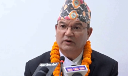 मानव वन्यजन्तु द्वन्द्व न्यूनीकरणका लागि ‘प्याकेज’मा कार्यक्रम ल्याइने