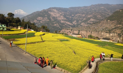 तोरीबारीमा टिकटक बनाउनेकाे भीड