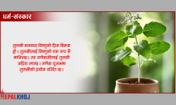 किन गणेश भगवान्‌लाई तुलसी चढाउनु हुँदैन ?