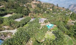 गाउँभरि केराखेती, बजारको अभाव