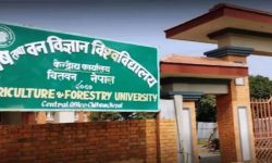 कृषि विश्वविद्यालयमा डीन नियुक्त