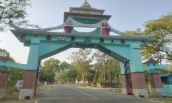 कोइलाबास नाकामा चहलपहल घटेसँगै राजस्व पनि घट्यो