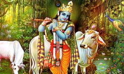 आज बुधबार कृष्ण भगवानको पूजा गर्नुहोस्