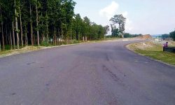 रुख कटान नहुँदा मदन भण्डारी राजमार्ग निर्माण प्रभावित