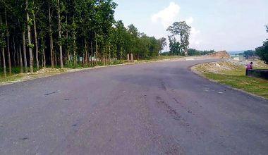 रुख कटान नहुँदा मदन भण्डारी राजमार्ग निर्माण प्रभावित