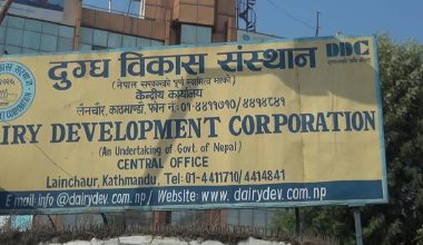 दुग्ध विकास संस्थानले तिर्‍यो ३१ वर्षको सम्पत्ति कर