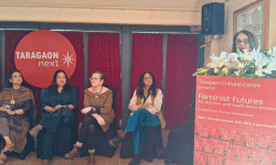 नारीवादसम्बन्धी कला प्रदर्शनी माघ १२ गतेदेखि