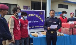 लागूऔषध चरेस र अफिमसहित २ भारतीय पक्राउ