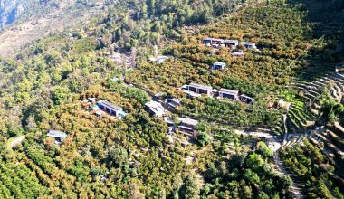 बाँसखर्क अर्थात् सुन्तलाखर्क : पाखैभरि पहेँलपुर सुन्तला