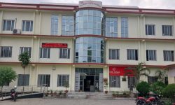 १२ प्रतिशतले बढ्यो राजस्व संकलन