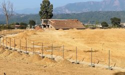 पाँच वटा पिचसहितको क्रिकेट मैदान निर्माण हुँदै