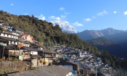 सिक्लेसमा ठेलो हान्ने मेला