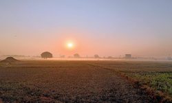 प्रधानमन्त्री ओलीद्वारा शुभकामना