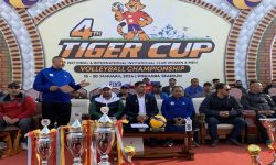 टाइगर कप भलिबल माघ दोस्रो सातादेखि