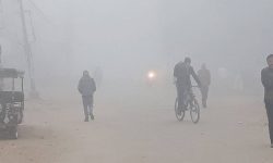 तराईमा शीतलहर : बढ्दो जोखिममा पूर्वतयारी सुस्त